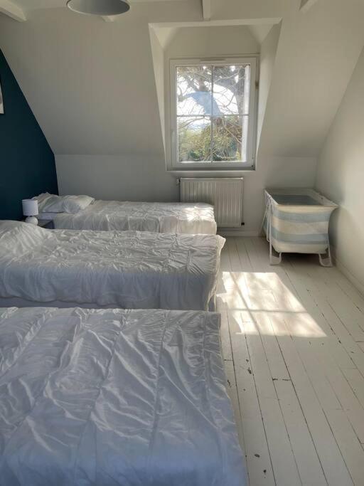 Villa Belle Longere Au Calme Carantec Esterno foto